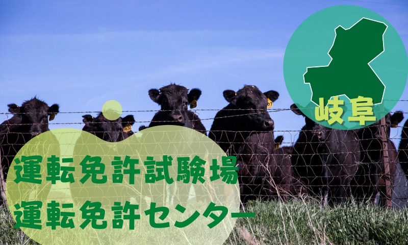 【岐阜】運転免許センターや運転免許試験場のご案内