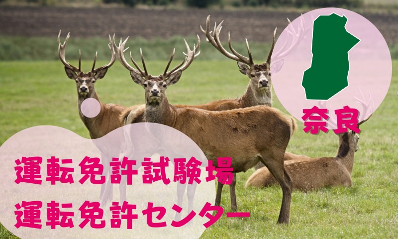 【奈良】運転免許センターや運転免許試験場のご案内