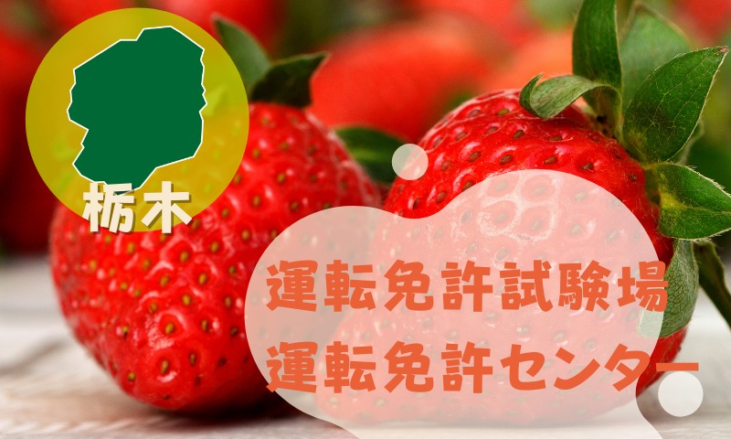 【栃木】運転免許センターや運転免許試験場のご案内