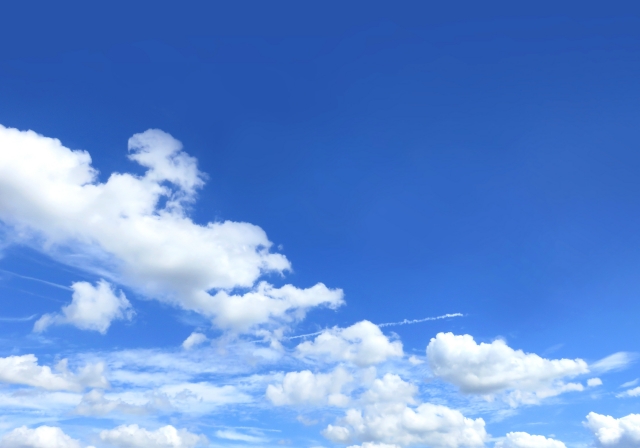 夏は暑いんだけど?それでも長袖・長ズボンは必須