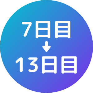 7日目から13日目