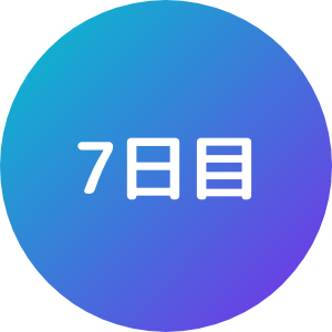 7日目