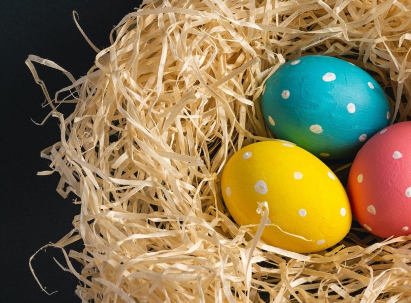 合宿免許の仮免試験で一発合格するには?3つポイントを解説