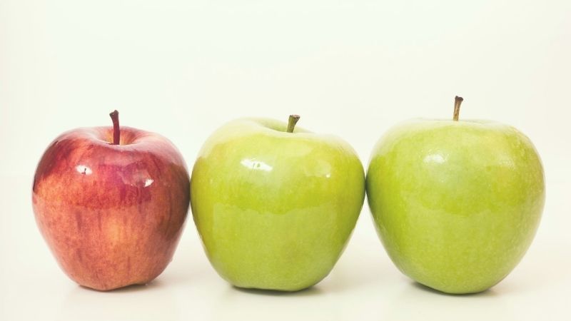 社会人が合宿免許を狙う時期は？GWや年末が多い