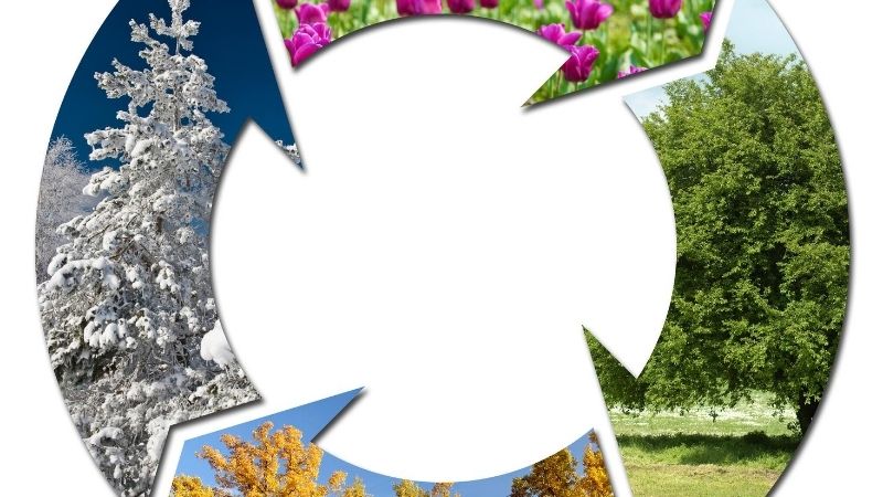 季節によってあると良い服は?夏と冬で役立つ服装