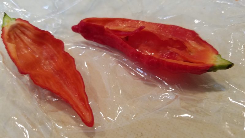 切るときも直接触れないように、ラップの上からジョロキアを抑えて半分に切ることに成功。