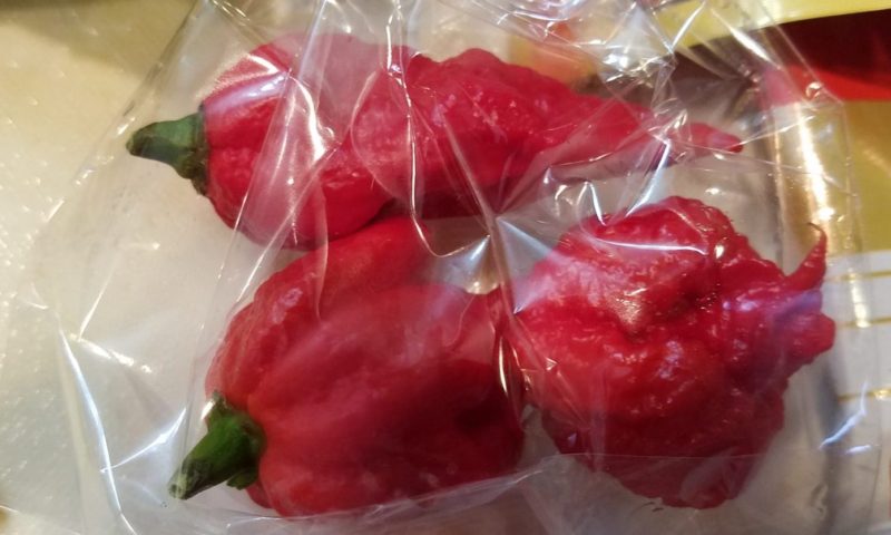 世界最辛ラー油を作ろうと思った理由は？一番ネックな唐辛子をゲットしたこと