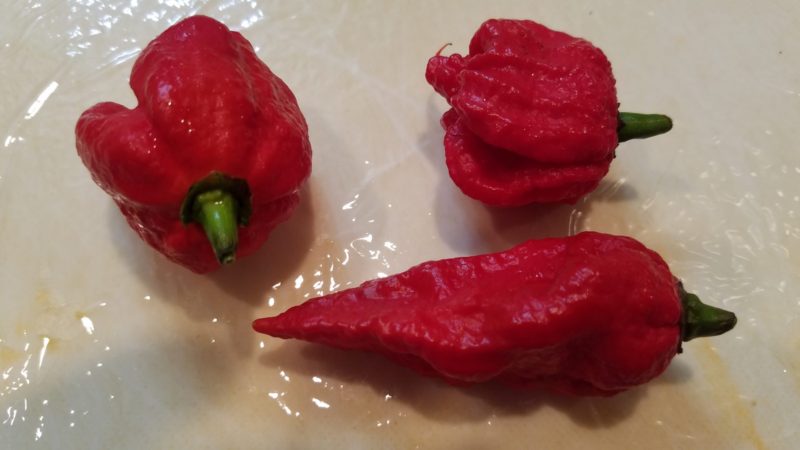 唐辛子をまな板へ取り出します