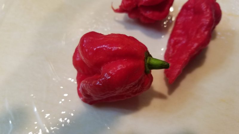 トリニダード・モルガ・スコーピオン