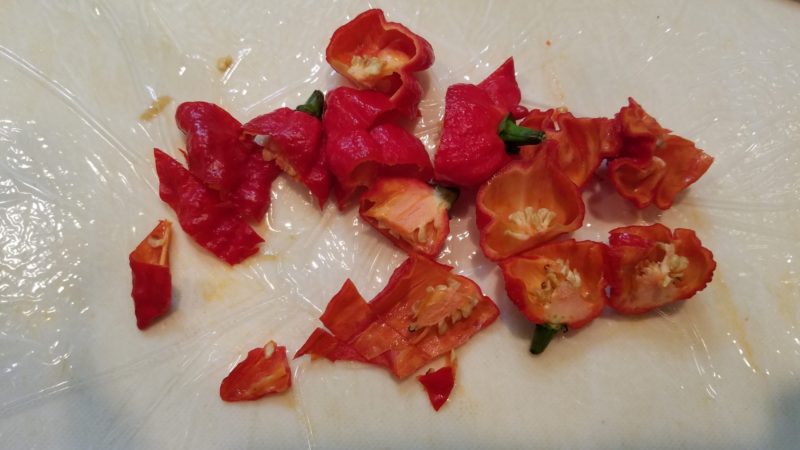 唐辛子をざっくり切ります