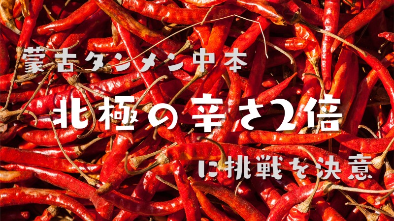 北極ラーメンを食べに高田馬場へ！蒙古タンメン中本の辛さ2倍に挑戦を決意