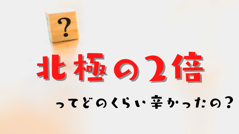 北極あんかけ2倍を食べた感想