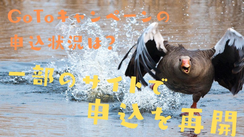 合宿免許予約サイトのGoToキャンペーンの申込状況は?一部のサイトで申込を再開