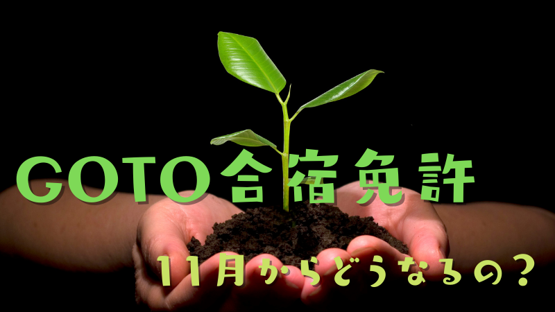 GOTO合宿免許プランはどう変わるのか？11月から適用される割引の詳細について