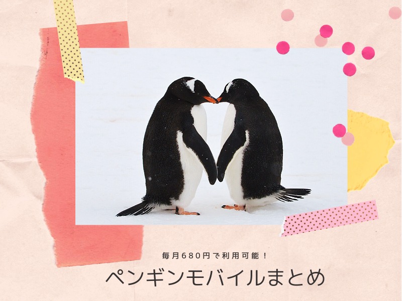 毎月680円で利用可能！ペンギンモバイルの料金まとめ