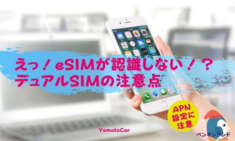 iPhoneでeSIMとnanoSIMをデュアルSIMで使用！eSIMが動かないのは何故？
