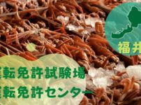 【福井】運転免許センターや運転免許試験場のご案内