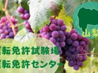【山梨】運転免許センターや運転免許試験場のご案内