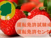 【栃木】運転免許センターや運転免許試験場のご案内