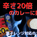 LEE 辛さ20倍のカレーに挑戦！電子レンジ対応のレトルトカレーの実食レビュー