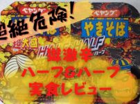 獄激辛のハーフ&ハーフの危険度を解説！絶対に手を出さない方が良いペヤングだった