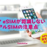 iPhoneでeSIMとnanoSIMをデュアルSIMで使用!eSIMが動かないのは何故?